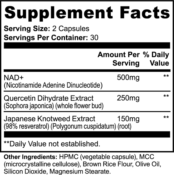 Nova YOUTH