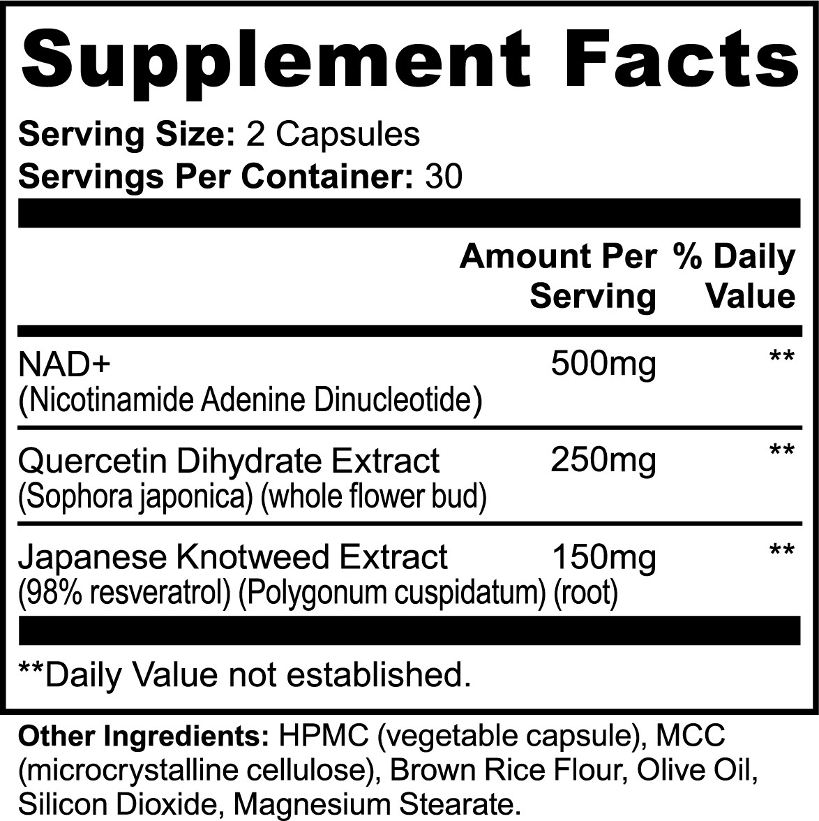 Nova YOUTH